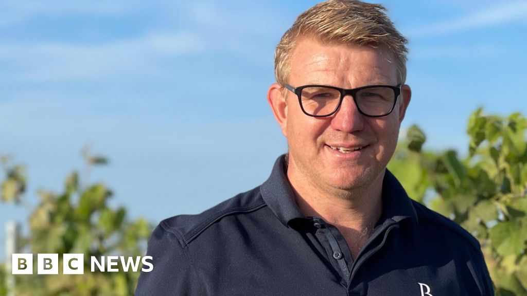 Hockwold farmer swaps onions for grapes to future-proof business