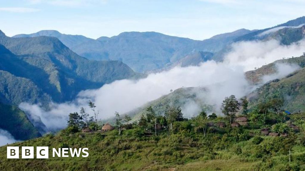 American pilot shot dead and plane torched by Papuan rebels
