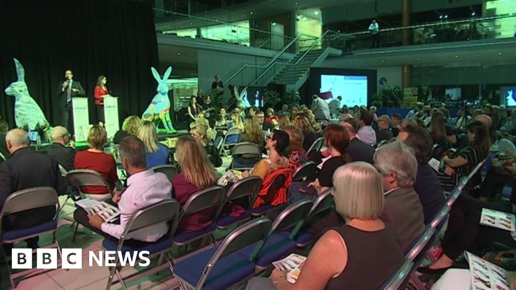 Norwich GoGoHares auction raises more than £400,000 BBC News