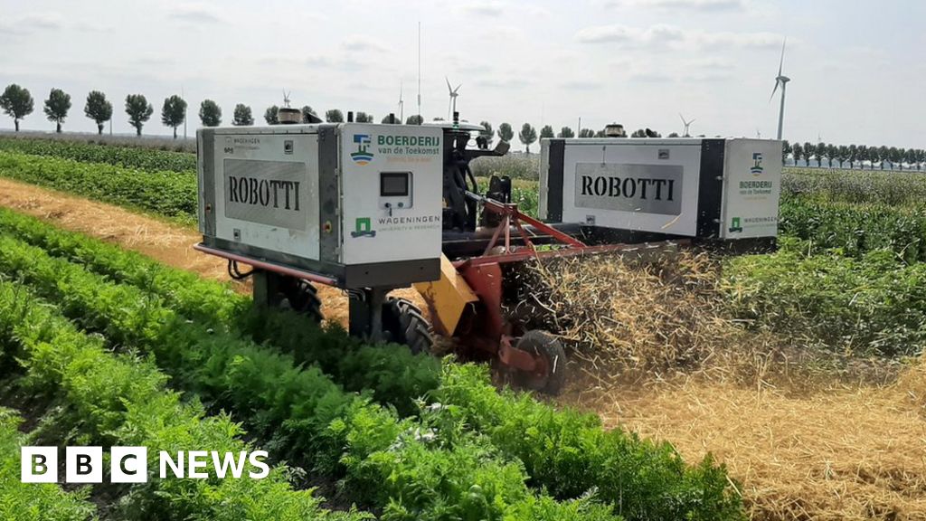 New tech boosts Dutch drive for sustainable farming