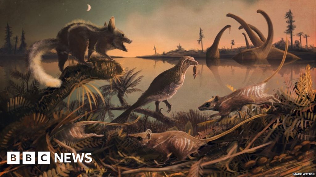 Fossil of 'our earliest ancestors' found in Dorset