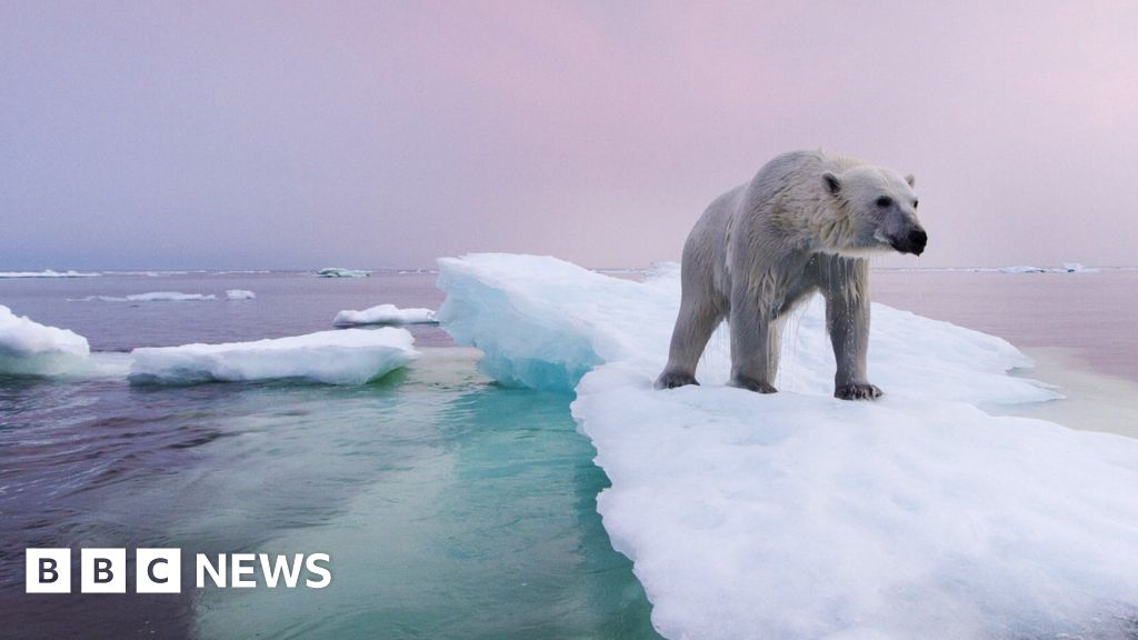 Изменението на климата: „Безумният“ план за спасяване на морския лед на Арктика