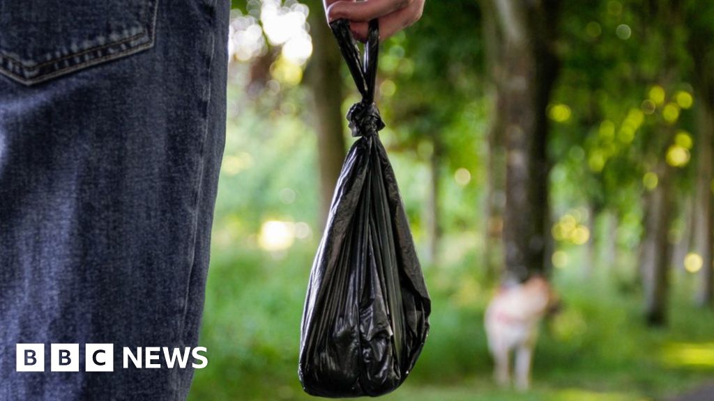 Harrogate waste plan paused as bins 'overflow' with dog poo
