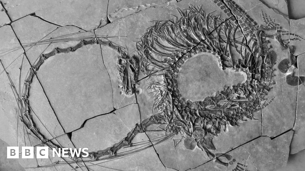 Учените са разкри нов, забележително пълен фосил - дълго 16