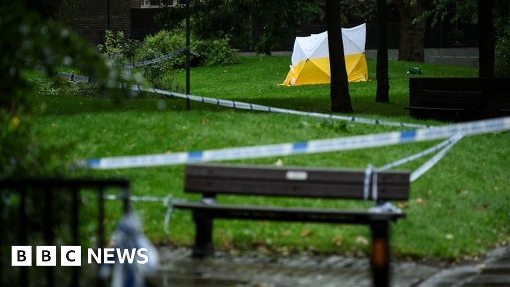 Six teenagers arrested over Camberwell fatal stabbing