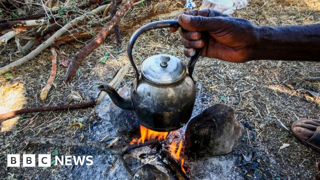 Ethiopia's Tigray crisis: Eritrea refugees in Ethiopia run out of food, UN says - BBC News