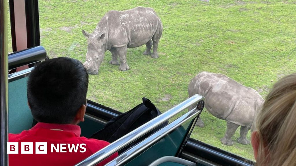 Wednesbury Rotary Club treats 500 pupils to safari park trip - BBC News