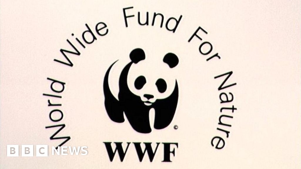 WWF accused of funding guards who torture and kill in poaching war - BBC  News