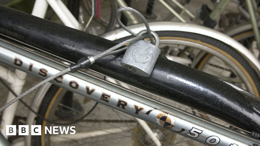 london drugs echelon bike