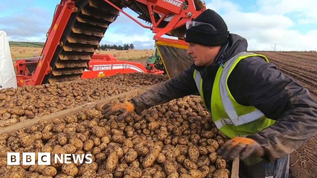 Scottish potato industry unites to tackle pest threat