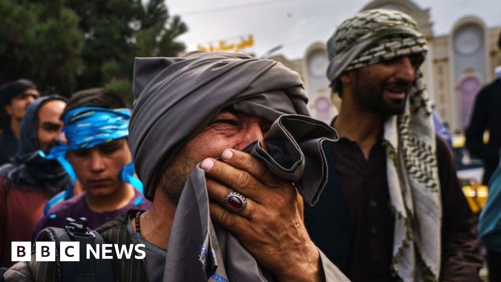 'They will kill me': Desperate Afghans seek way out after Taliban takeover