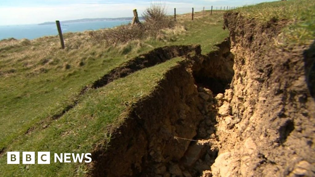 Crack running 100m appears on Dorset