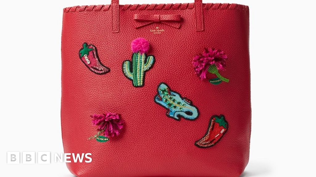 What makes this Kate Spade bag unusual? - BBC News