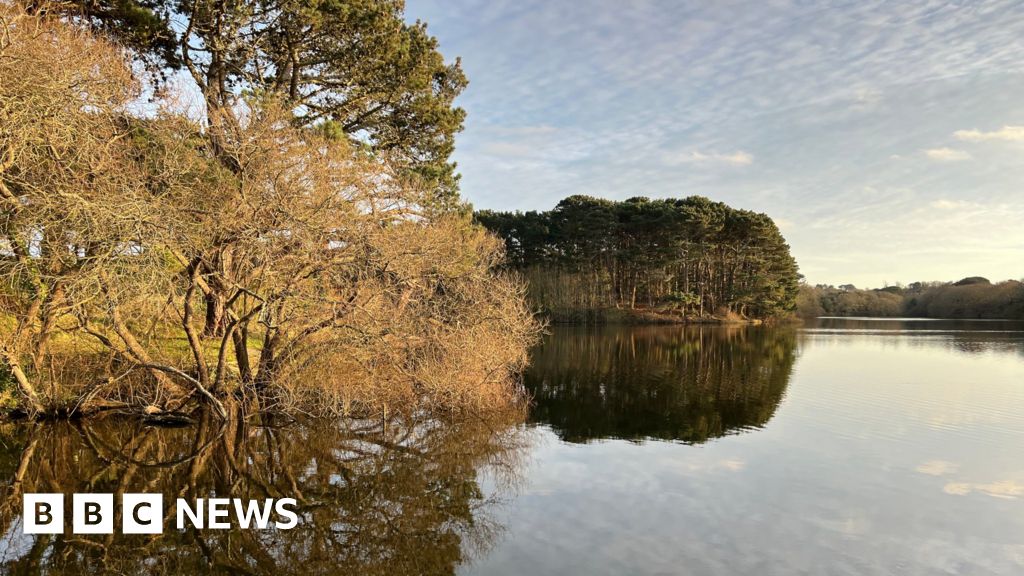 Guernsey reservoir nature trail reopens after storm damage BBC News