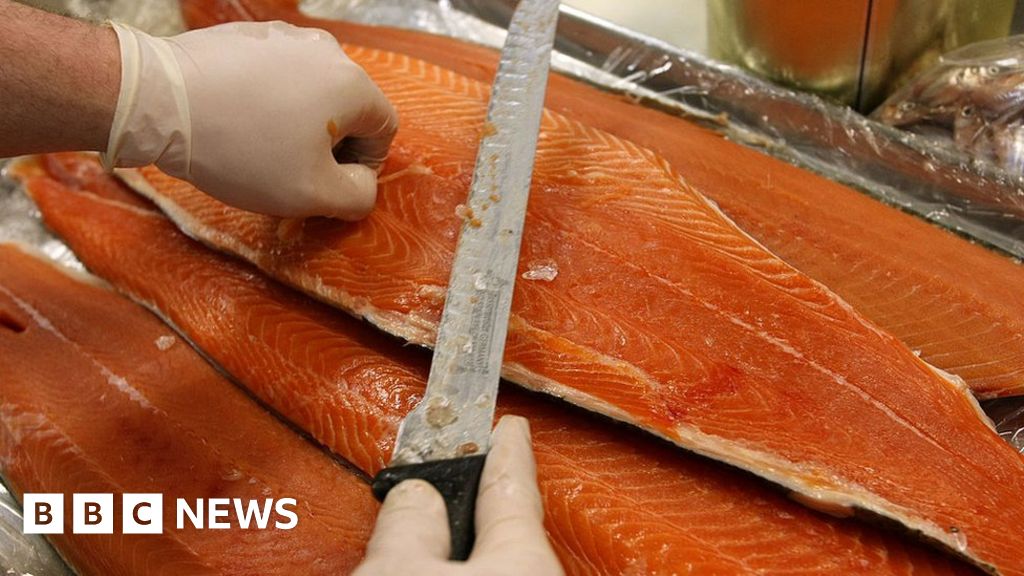 Salmon producer Mowi sees profits hit by lice, disease and escapes