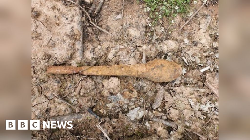 Army Explodes Suspected WWII Device In Cwmbran Woodland - BBC News