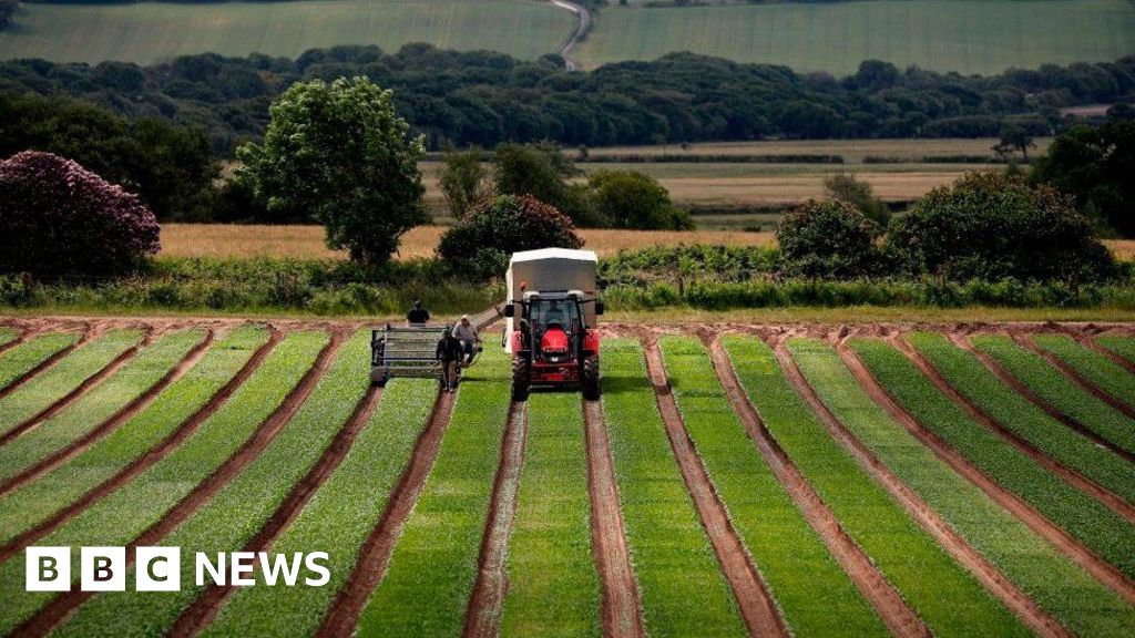 Clock ticking on UK food-security action, NFU warns