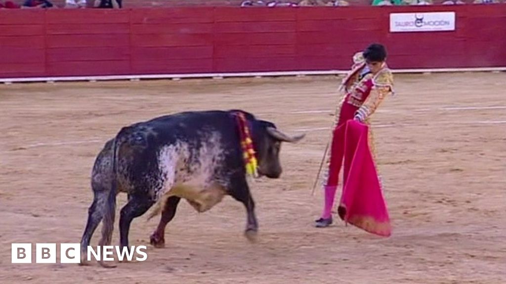 Matador Victor Barrio Killed By Bull In Spain BBC News