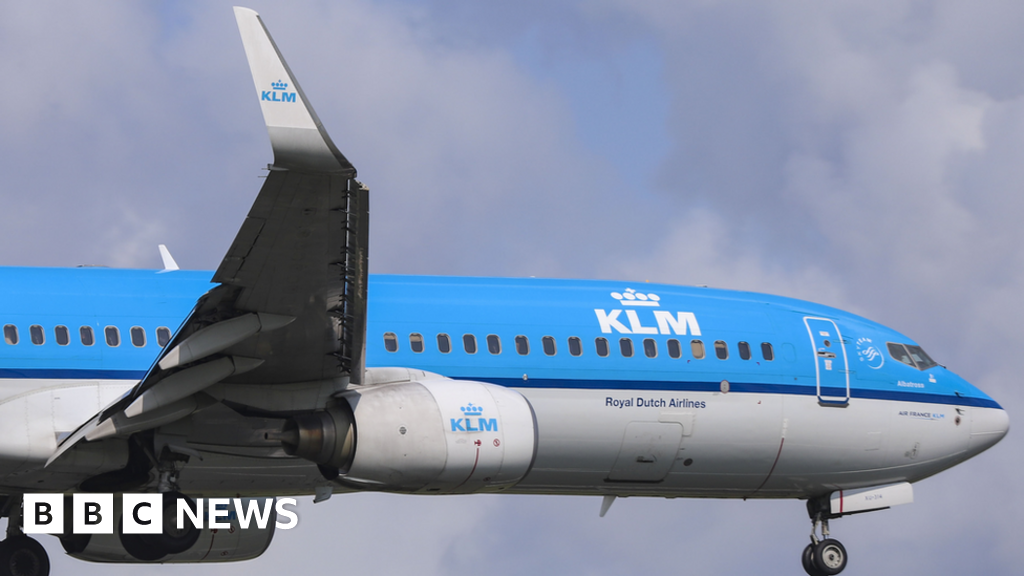 Environmentalists sue Dutch airline KLM for 'greenwashing'