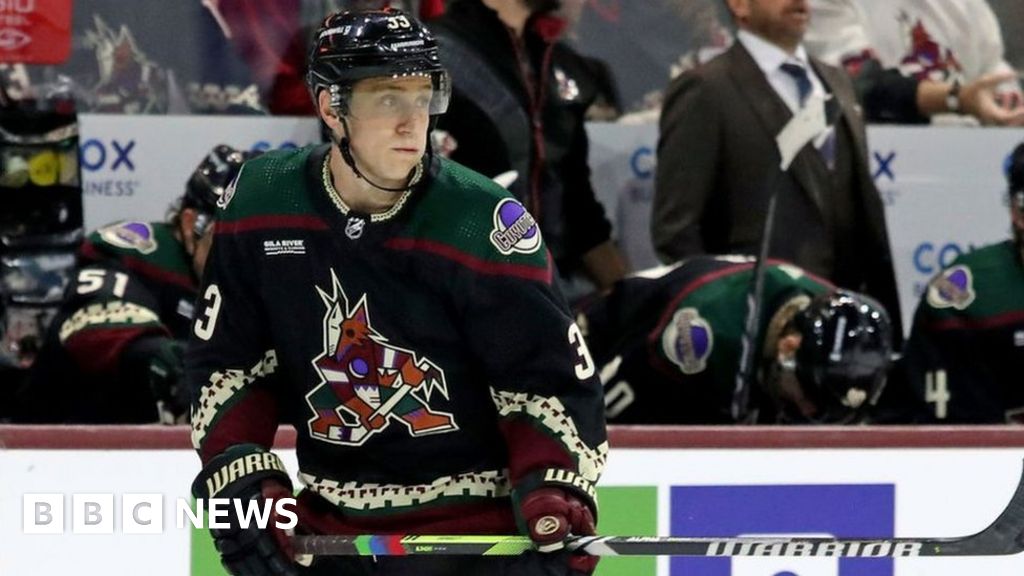 NHL drops ban on rainbow-coloured Pride hockey stick tape