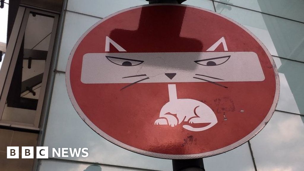 Edinburgh's road signs hacked by artist - BBC News