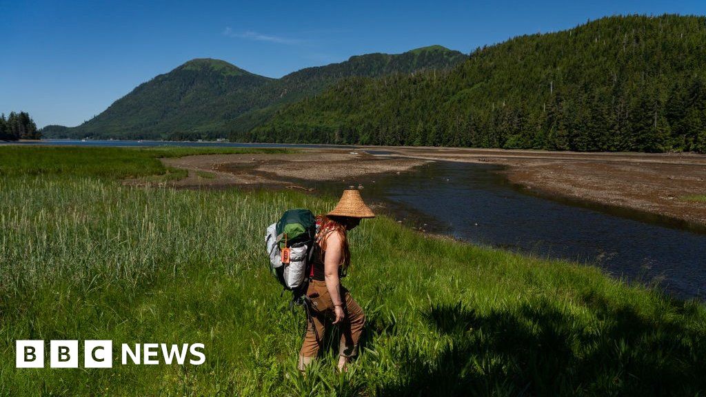 Biden Restores Protections To Alaska's Tongass National Forest - BBC News