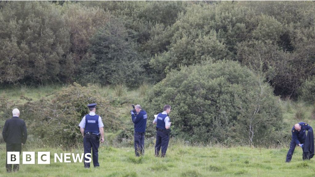 Man dies in attack by bull on farm in County Donegal - BBC News