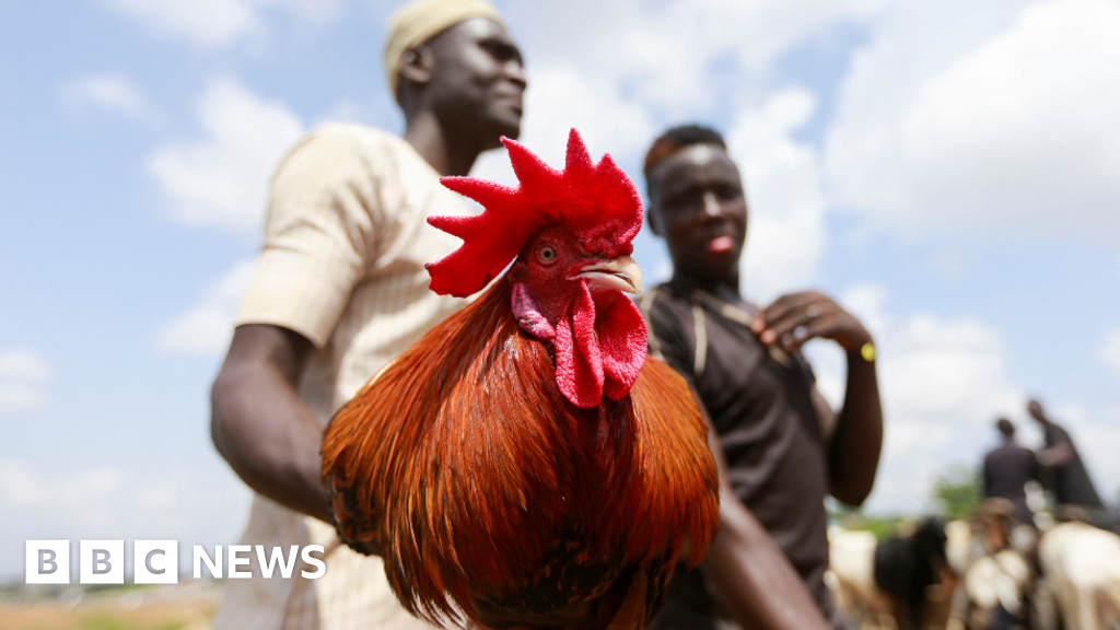 Africa's week in pictures: 8-14 July 2022