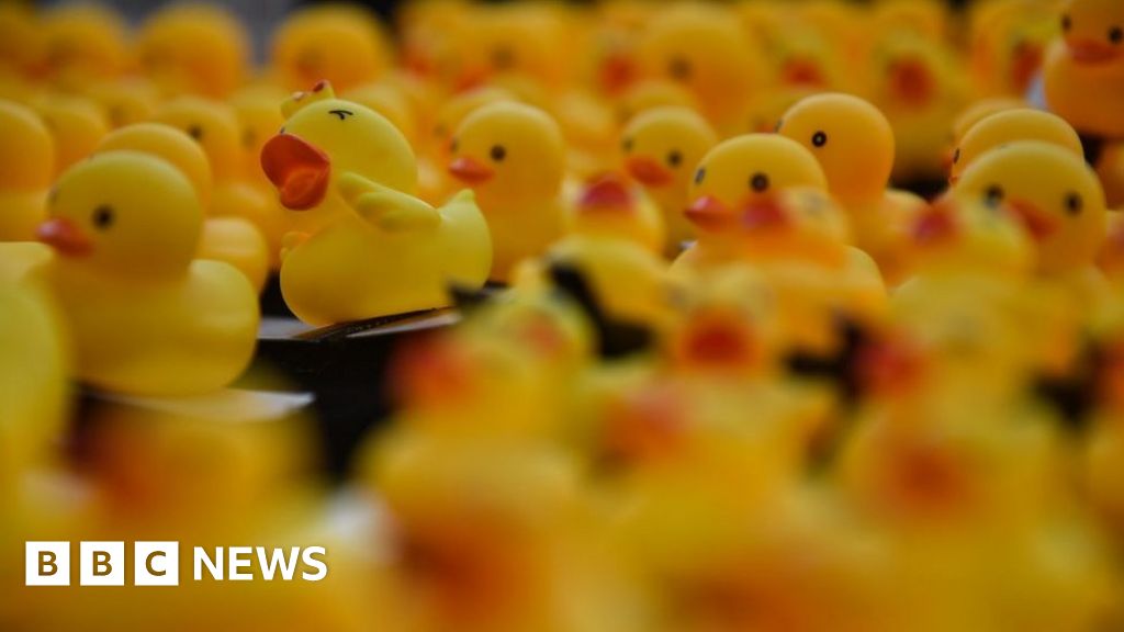 Thai man jailed for insulting king over duck calendar