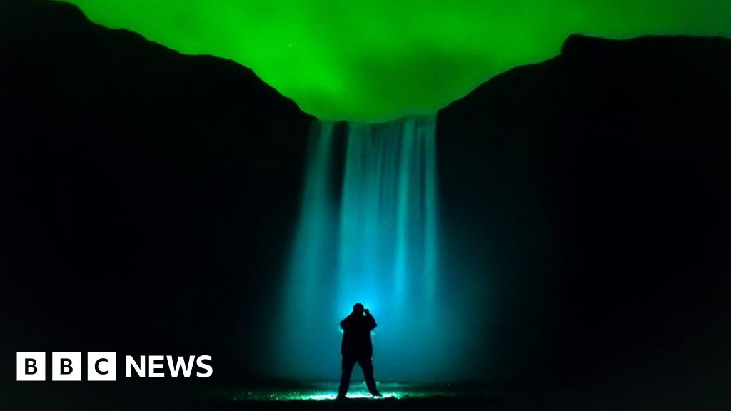 Readers' pictures of the year 2019