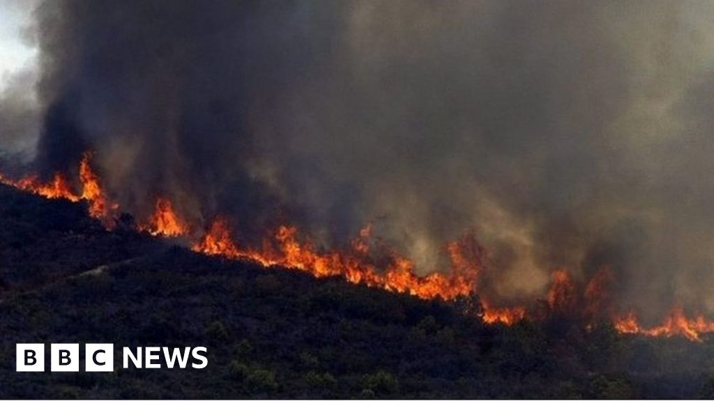 Spain forest fires force evacuation of residents and tourists BBC News