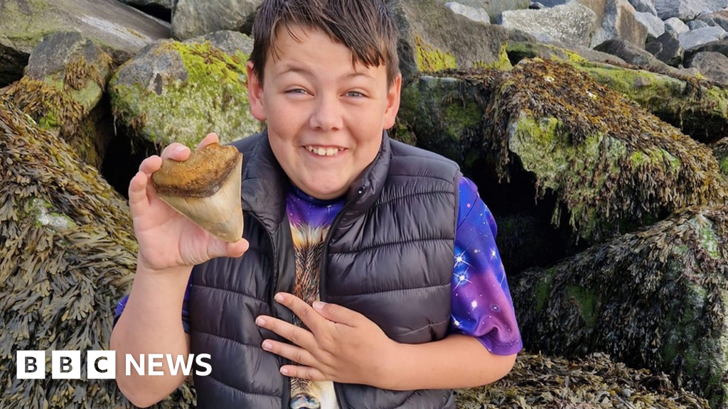 Hemel Hempstead boy finds megalodon shark tooth at Walton-on-the-Naze