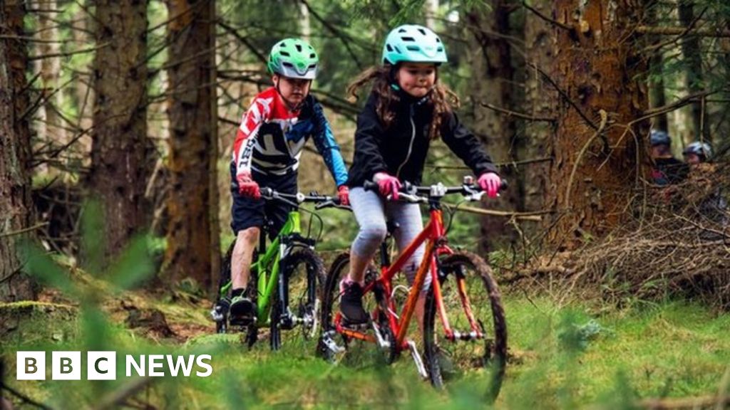 tardree forest mountain biking