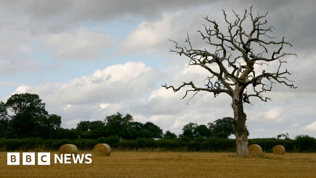 Farming: The UK's deadliest industry