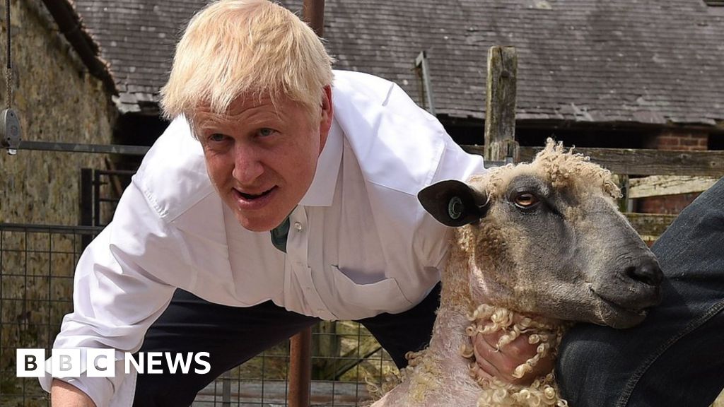 News Daily: PM talks farming and viral hit breaks US record