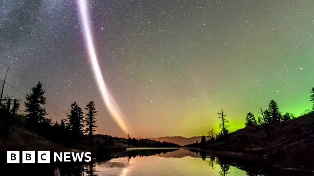 Aurora photographers find new night sky lights and call them Steve