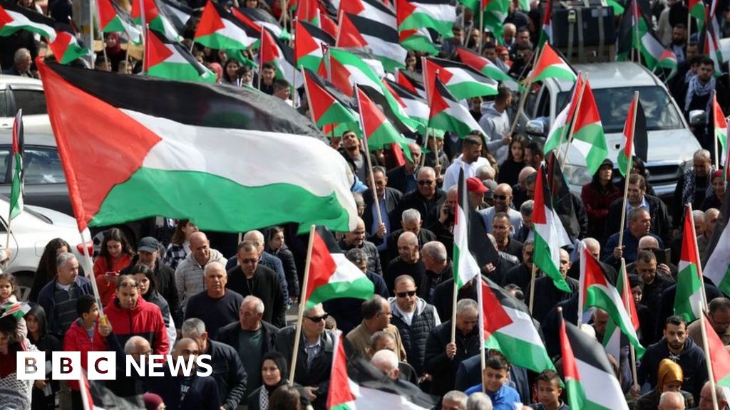 Israeli Arabs torn over judicial reforms protest movement