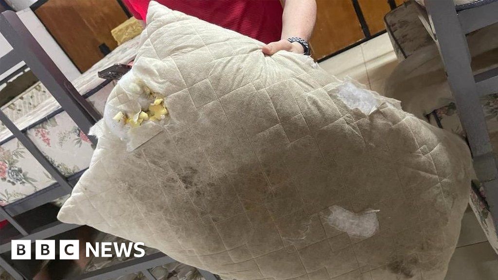 Rugby team given 'shocking' World Cup accommodation