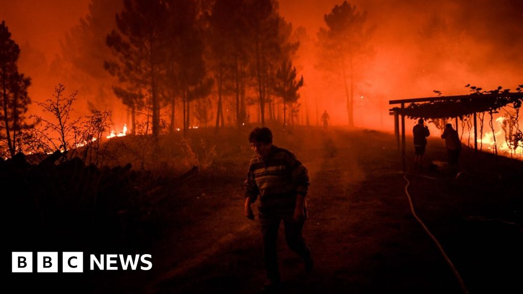 Portugal wildfires: Huge blazes force evacuations