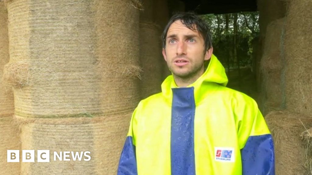 Flood Hit Lake District Farmers Dredging Plea After Sheep Deaths Bbc