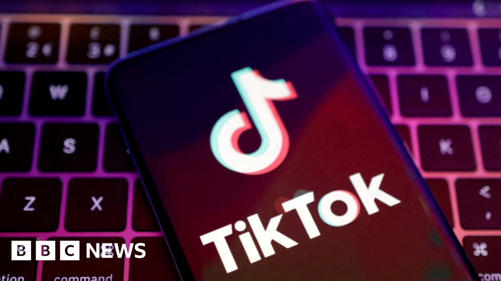 TikTok warns US ban 'would trample on free speech'