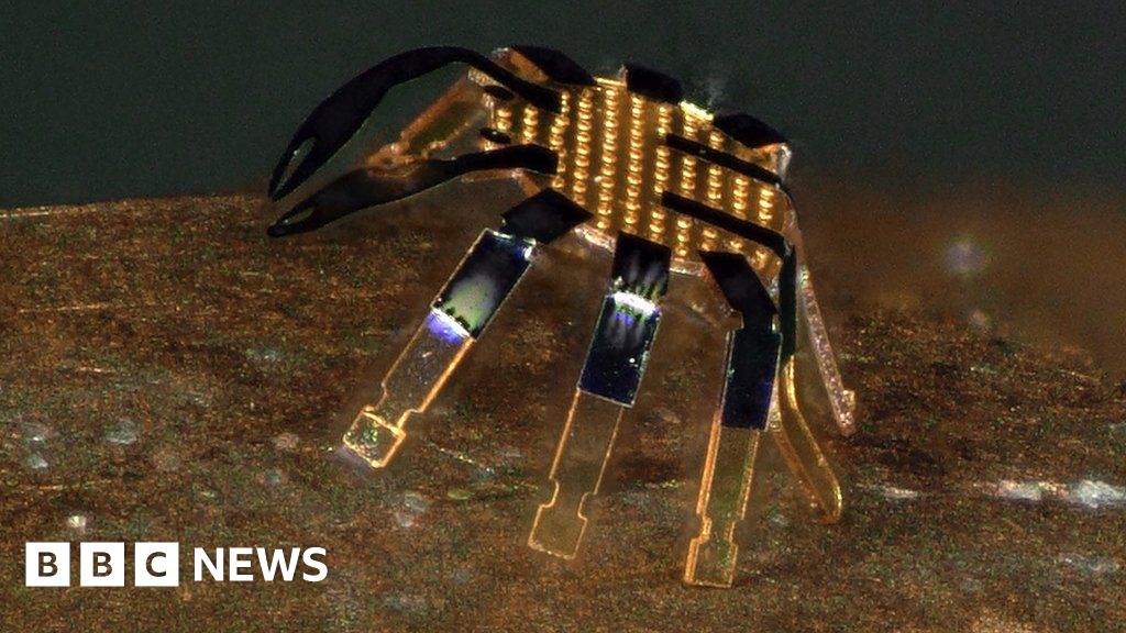 Watch 3D microbot that’s smaller than a flea