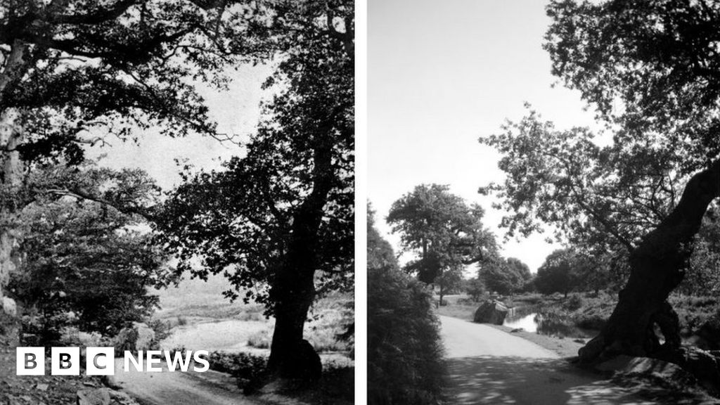 Photographer recreates ancestor's 1860s Leicestershire snaps 