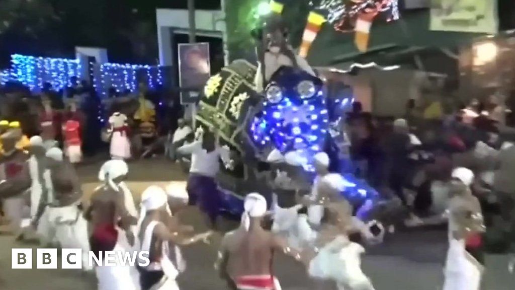 Sri Lanka elephant runs amok in religious procession