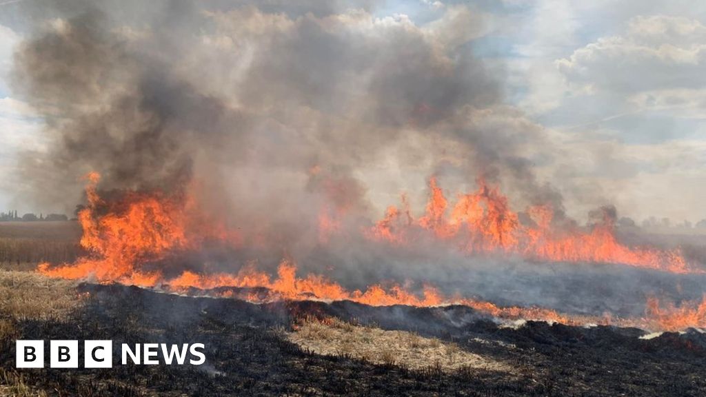 Ongar field fire destroys 20 acres of stubble 