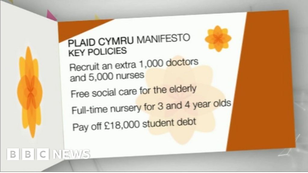 Plaid Cymru Manifesto: 'A Programme For A Generation' - BBC News