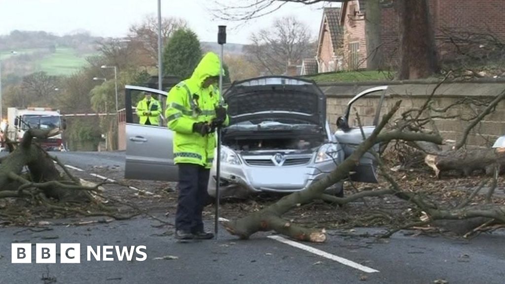 No-one To Blame For Death Of Woman Killed By Falling Tree, Inquest ...