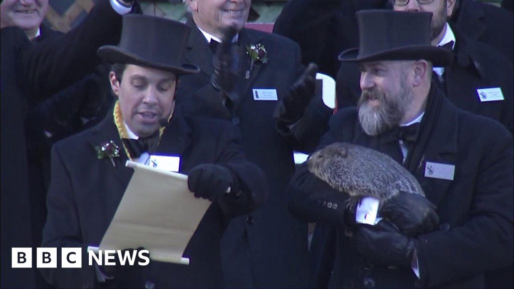 Punxsutawney Phil is not the only furry forecaster