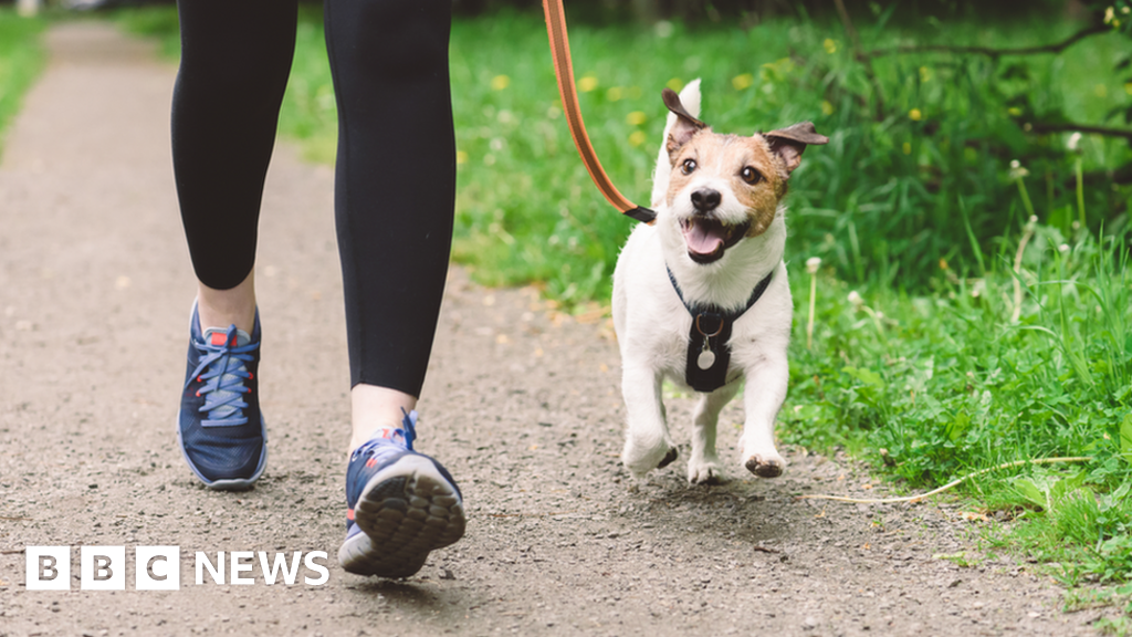 Plan for dog-walking area in Caverswall faces objections 