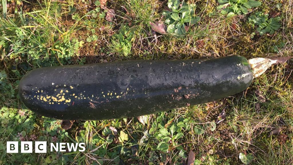 Police find 'WW2 bomb' was big courgette - BBC News